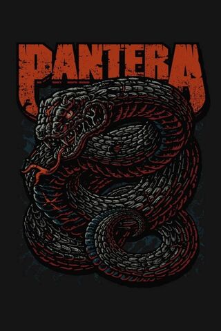 Pantera