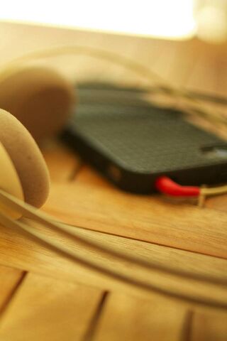 Melodies in Focus 🎶
