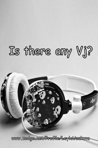 The Sound of Mystery: Is There Any VJ?
