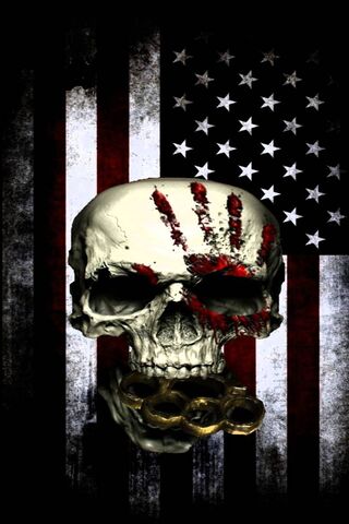 Vector Illustration America Flag Painted On A Skull Royalty Free SVG  Cliparts Vectors And Stock Illustration Image 156295468