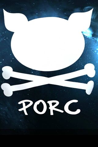 Porc: The Cosmic Rebel 🐷✨