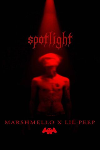 Illuminated Shadows: The Spotlight Effect