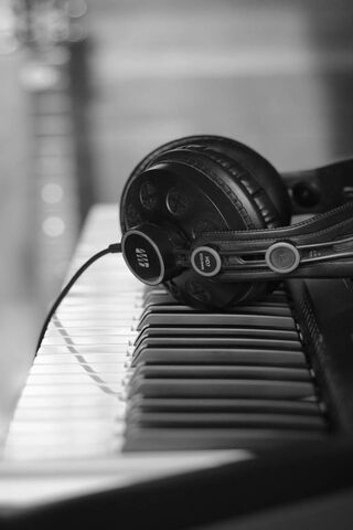 Harmony in Black and White 🎶