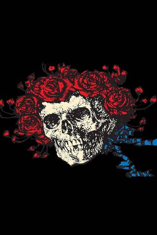 Grateful Dead Wallpaper Download To Your Mobile From Phoneky