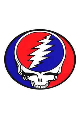 The Iconic Grateful Dead Skull 🎸💀