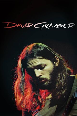 The Soulful Strum of David Gilmour 🎸✨