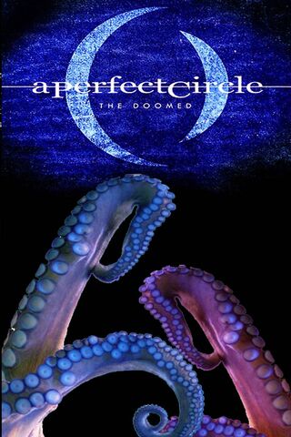 Tentacles of Fate: The Doomed Connection