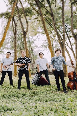 Melodies Under the Trees 🌳🎶