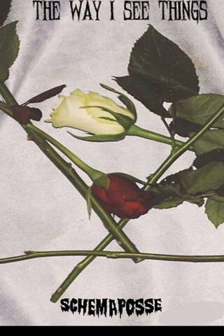 Perspectives of Beauty and Pain 🌹✨