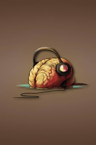 Groove Your Mind: The Music Brain 🎶🧠