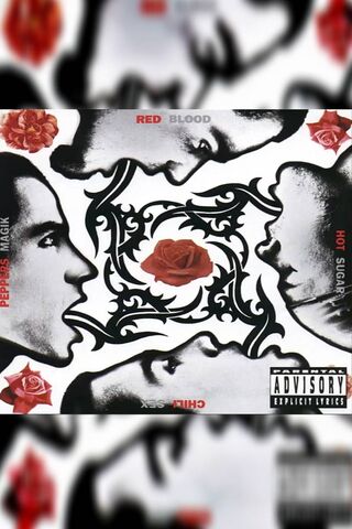 Fiery Connections: The Essence of RHCP