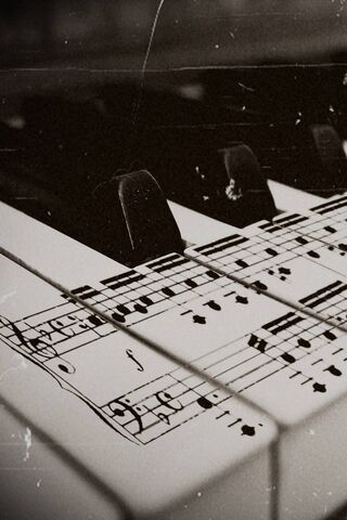 Melodies in Black and White 🎹✨