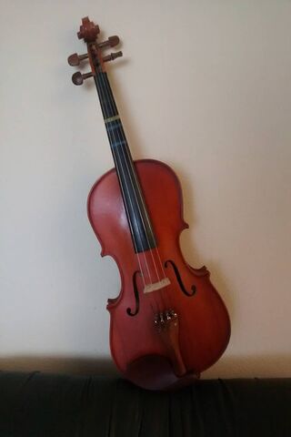 The Heart of Harmony: Viola's Melodic Charm 🎶