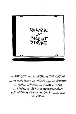 Echoes of Delirium: A Creative Collaboration