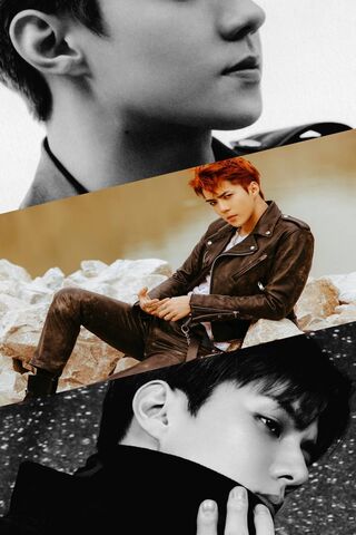 Exo Tempo