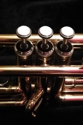 Melody Makers: The Heart of the Trumpet 🎺✨