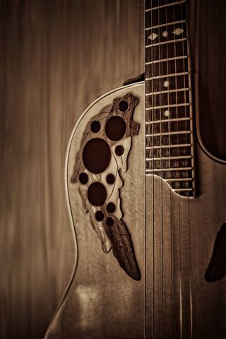 Strings of Nature: The Gitar's Soul 🎶🌿