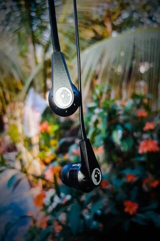 Tune In: The Perfect Earphones for Every Beat 🎶