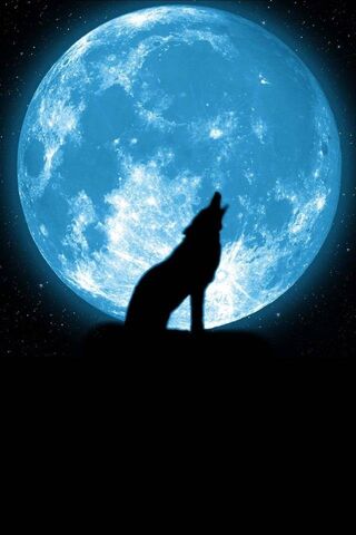 Lunar Serenade: The Wol..