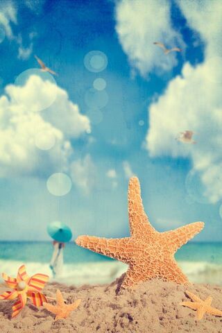 Summer Serenity: A Day ..