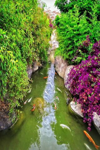 Tranquil Oasis: Nature's Serenity 🌿💧