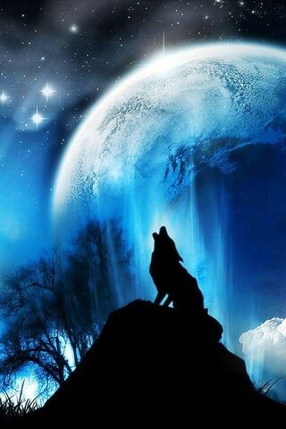Lune et loup