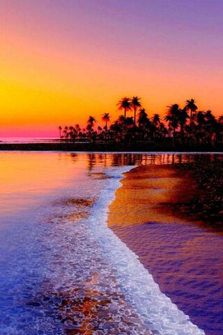 Tropical Sunset Serenity 🌅🌴