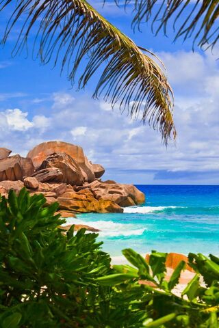 Paradise Found: A Tropical Escape 🌴🌊