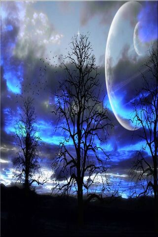 Enchanted Twilight 🌌