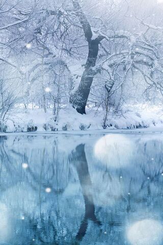 Whispers of Winter: A T..