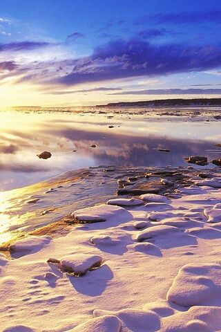Desert Dreams: A Sunset Over the Sands 🌅✨