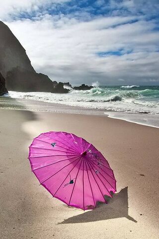 Solitary Shade by the Shore