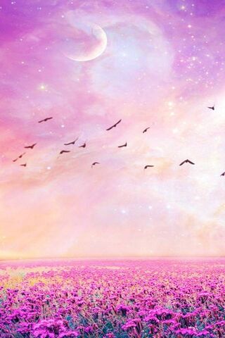 Purple Flowers Field Wallpaper - Download to your mobile from PHONEKY