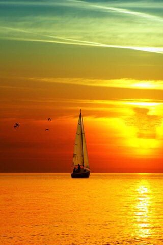 Whispers of the Silent Ocean