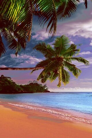 Ilha tropical