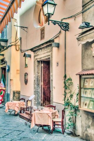 Enchanted Alleyway Dining 🌹✨