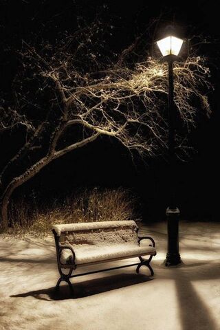 Silent Serenity of Wint..
