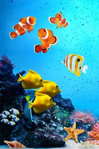Underwater Wonderland: A Tropical Fish Adventure 🌊🐠
