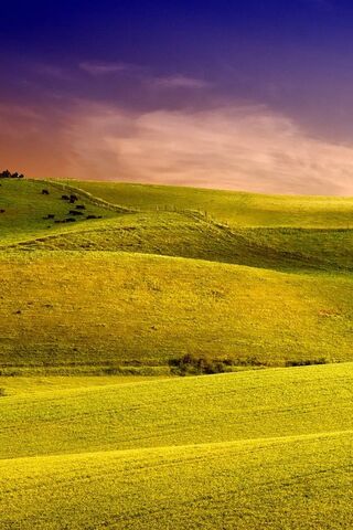 Serene Green Hills at Dusk 🌄🌿