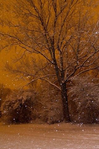 Winter Whispers in Copenhagen ❄️🌨️