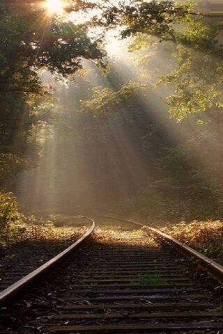 Path to Nowhere: A Jour..