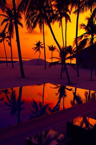 Sunset Serenity 🌅🌴