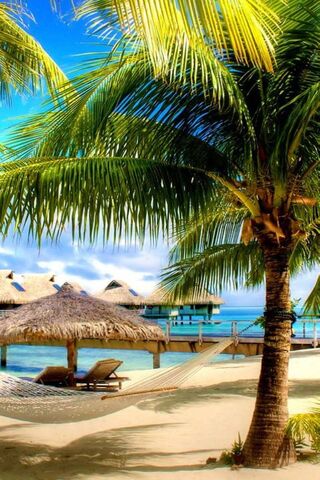 Tropical Serenity: The ..