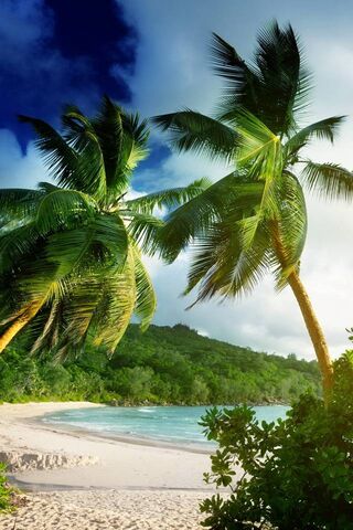 Serene Shores of Bliss 🌴🌊