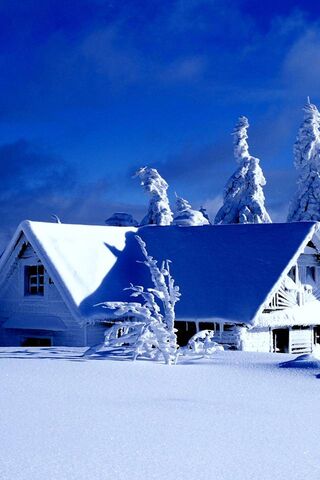 Winter Wonderland: A Cozy Retreat