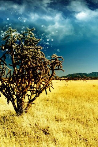 Whispers of the Golden Plains 🌾✨