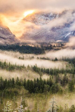 Mystical Dawn at Foggy Mountain 🌄🌫️