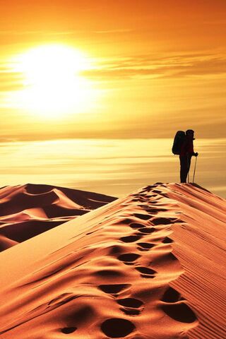 Journey Through the Sands of Time 🌅