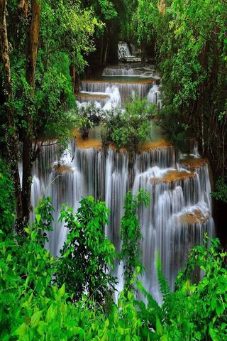 Nature's Serenity: The ..