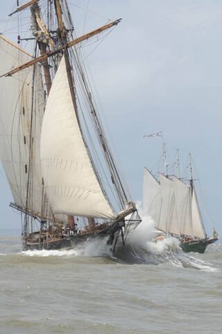 Sailing Through Paradise: A Dance with the Waves 🌊⛵